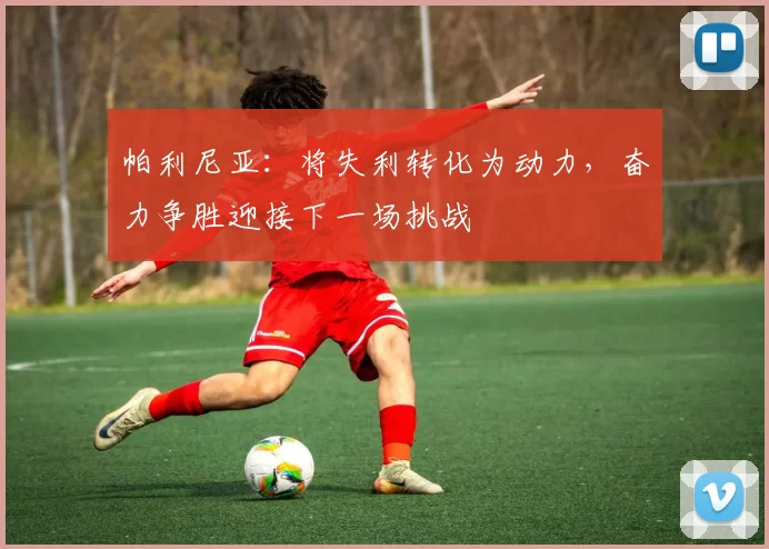 帕利尼亚：将失利转化为动力，奋力争胜迎接下一场挑战